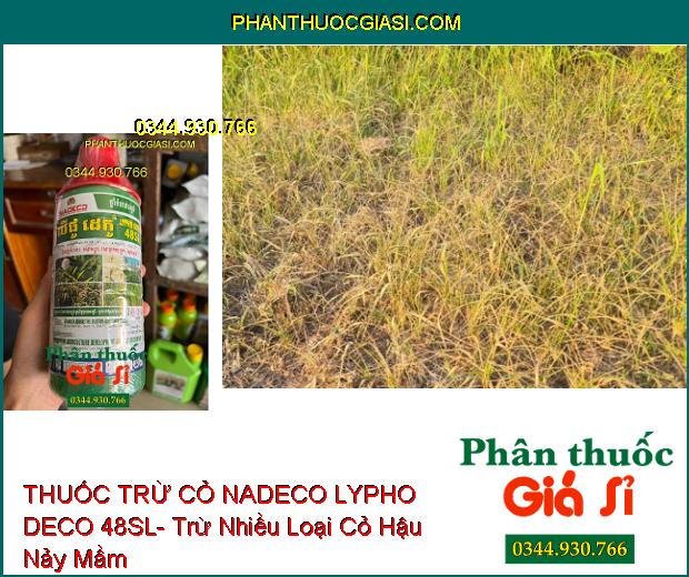 THUỐC TRỪ CỎ NADECO LYPHO DECO 48SL- Trừ Nhiều Loại Cỏ Hậu Nảy Mầm