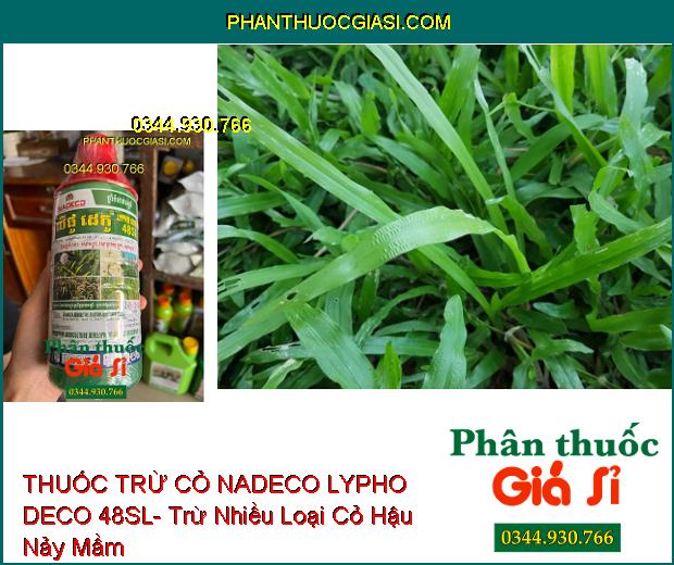 THUỐC TRỪ CỎ NADECO LYPHO DECO 48SL- Trừ Nhiều Loại Cỏ Hậu Nảy Mầm