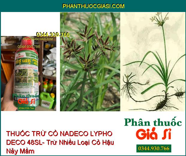 THUỐC TRỪ CỎ NADECO LYPHO DECO 48SL- Trừ Nhiều Loại Cỏ Hậu Nảy Mầm