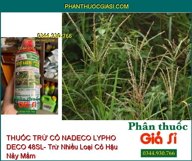 THUỐC TRỪ CỎ NADECO LYPHO DECO 48SL- Trừ Nhiều Loại Cỏ Hậu Nảy Mầm