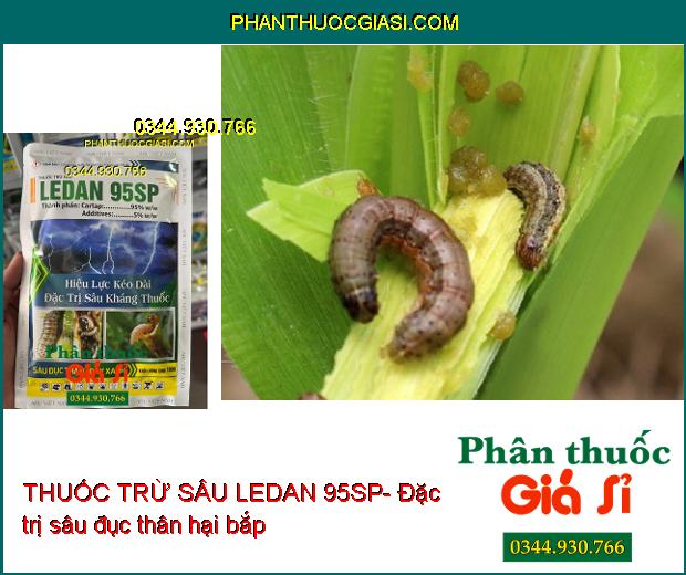 THUỐC TRỪ SÂU LEDAN 95SP