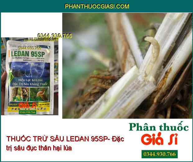 THUỐC TRỪ SÂU LEDAN 95SP