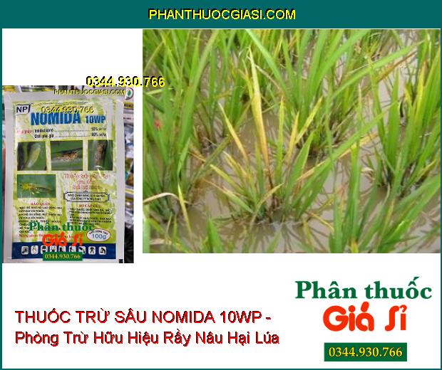 THUỐC TRỪ SÂU NOMIDA 10WP - Phòng Trừ Hữu Hiệu Rầy Nâu Hại Lúa