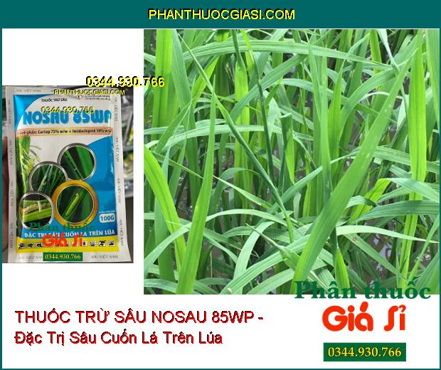 THUỐC TRỪ SÂU NOSAU 85WP - Đặc Trị Sâu Cuốn Lá Trên Lúa