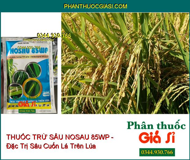 THUỐC TRỪ SÂU NOSAU 85WP - Đặc Trị Sâu Cuốn Lá Trên Lúa