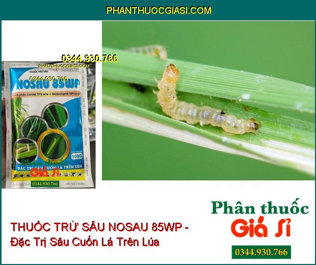 THUỐC TRỪ SÂU NOSAU 85WP - Đặc Trị Sâu Cuốn Lá Trên Lúa