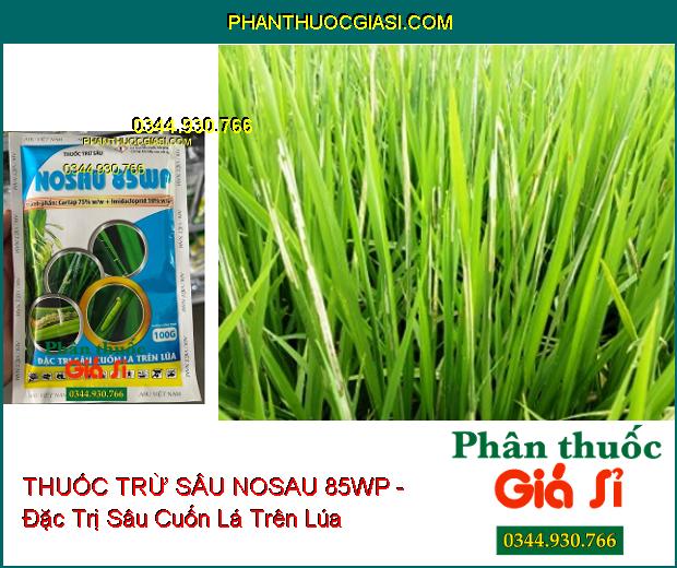 THUỐC TRỪ SÂU NOSAU 85WP - Đặc Trị Sâu Cuốn Lá Trên Lúa