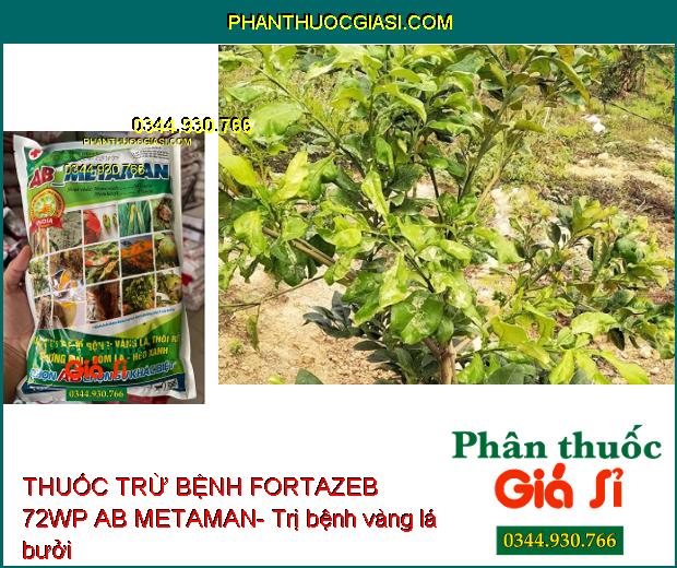 THUỐC TRỪ BỆNH FORTAZEB 72WP AB METAMAN