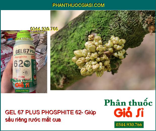 GEL 67 PLUS PHOSPHITE 62