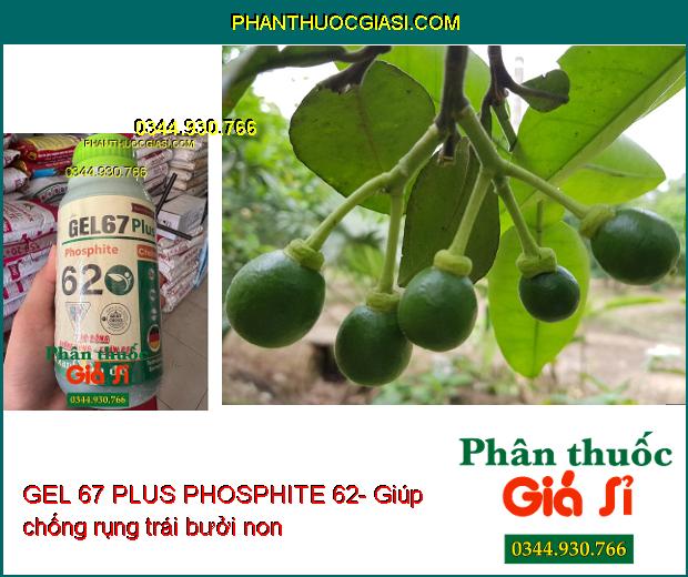 GEL 67 PLUS PHOSPHITE 62