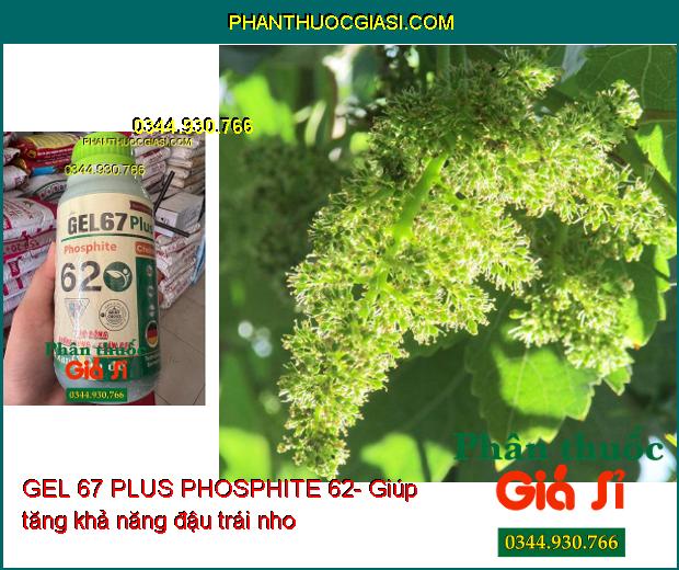 GEL 67 PLUS PHOSPHITE 62