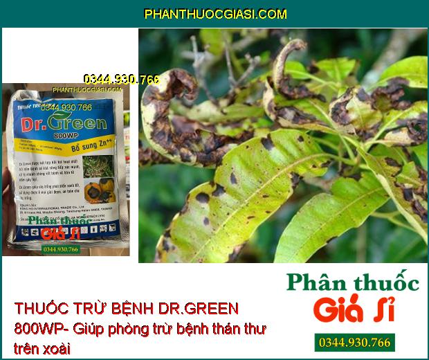 THUỐC TRỪ BỆNH DR.GREEN 800WP