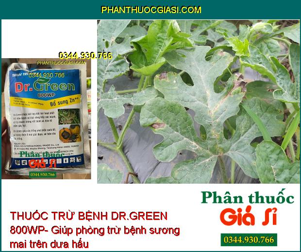 THUỐC TRỪ BỆNH DR.GREEN 800WP