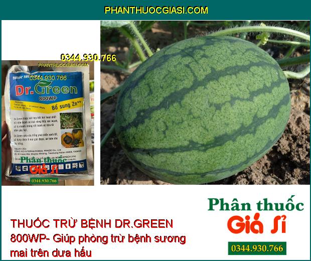 THUỐC TRỪ BỆNH DR.GREEN 800WP