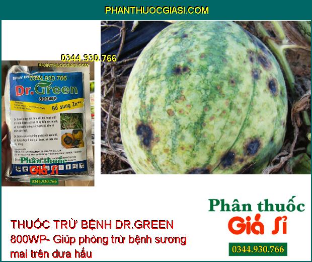 THUỐC TRỪ BỆNH DR.GREEN 800WP