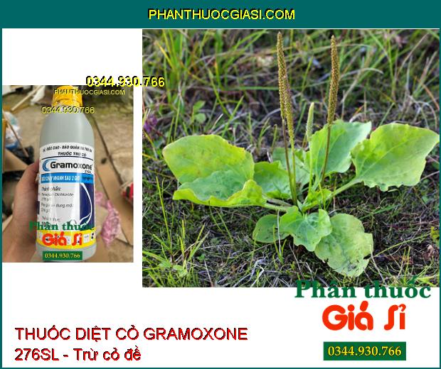 THUỐC DIỆT CỎ GRAMOXONE 276SL - Trừ Tất Cả Các Loại Cỏ Đồi- Cỏ Hoang