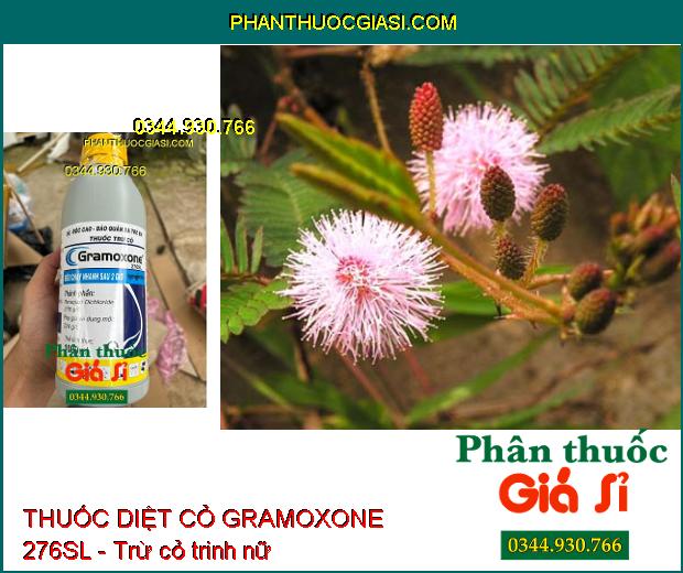 THUỐC DIỆT CỎ GRAMOXONE 276SL - Trừ Tất Cả Các Loại Cỏ Đồi- Cỏ Hoang