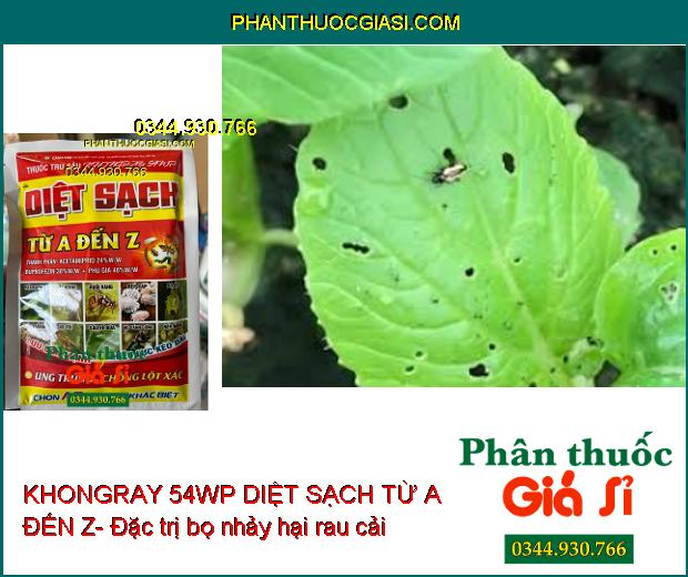 KHONGRAY 54WP DIỆT SẠCH TỪ A ĐẾN Z