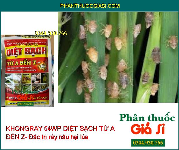 KHONGRAY 54WP DIỆT SẠCH TỪ A ĐẾN Z