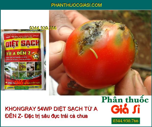 KHONGRAY 54WP DIỆT SẠCH TỪ A ĐẾN Z