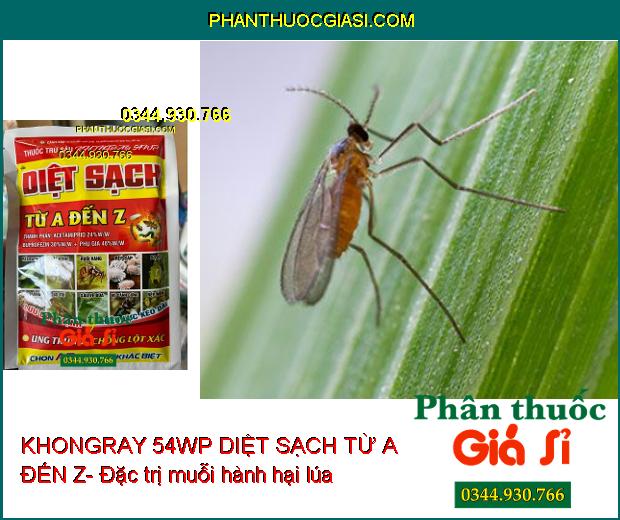 KHONGRAY 54WP DIỆT SẠCH TỪ A ĐẾN Z