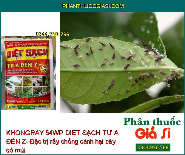 KHONGRAY 54WP DIỆT SẠCH TỪ A ĐẾN Z