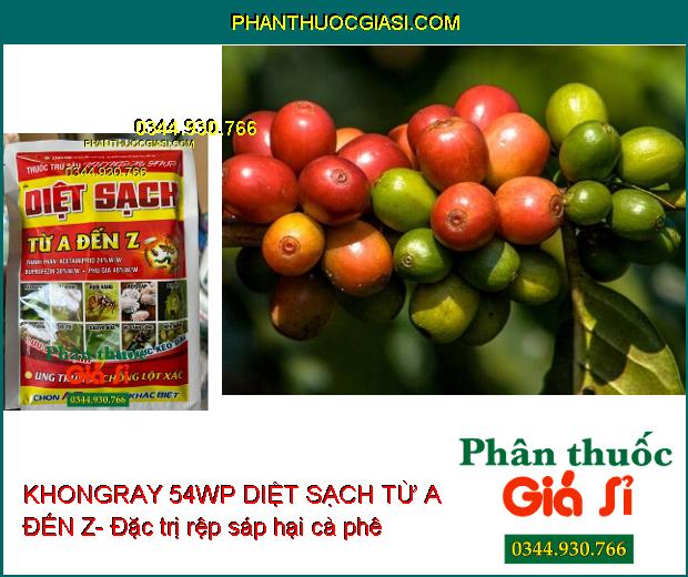 KHONGRAY 54WP DIỆT SẠCH TỪ A ĐẾN Z