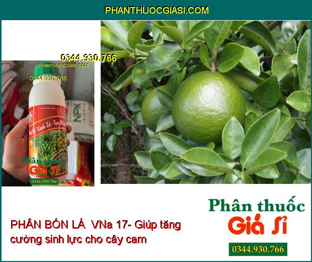 PHÂN BÓN LÁ VI LƯỢNG VNa 17- Phát Rễ- Xanh Lá- Tạo Mầm Hoa