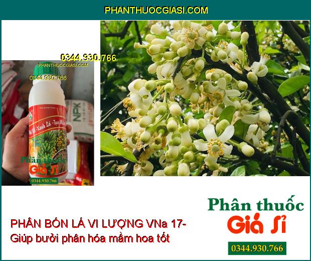 PHÂN BÓN LÁ VI LƯỢNG VNa 17- Phát Rễ- Xanh Lá- Tạo Mầm Hoa