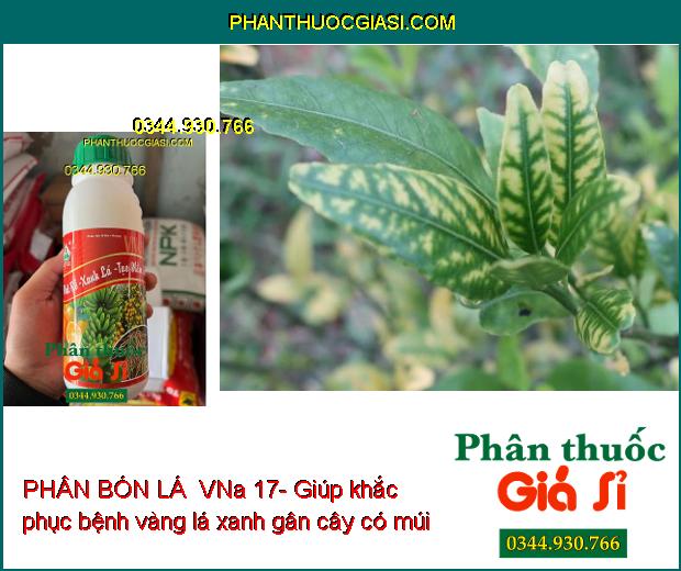 PHÂN BÓN LÁ VI LƯỢNG VNa 17- Phát Rễ- Xanh Lá- Tạo Mầm Hoa