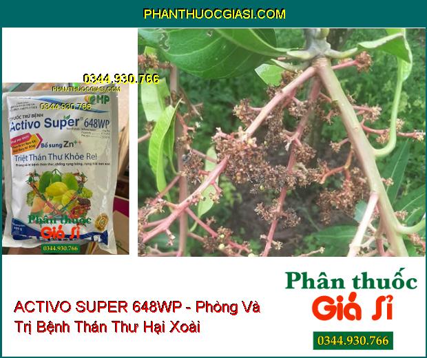 ACTIVO SUPER 648WP - Phòng Và Trị Bệnh Thán Thư- Phấn Trắng- Sương Mai