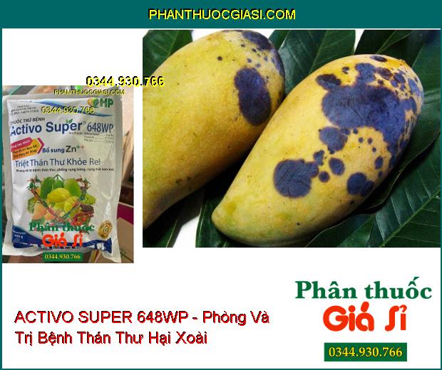 ACTIVO SUPER 648WP - Phòng Và Trị Bệnh Thán Thư- Phấn Trắng- Sương Mai