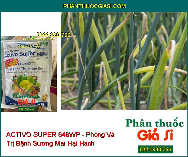 ACTIVO SUPER 648WP - Phòng Và Trị Bệnh Thán Thư- Phấn Trắng- Sương Mai