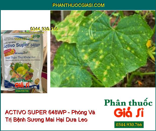 ACTIVO SUPER 648WP - Phòng Và Trị Bệnh Thán Thư- Phấn Trắng- Sương Mai