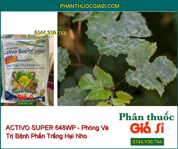 ACTIVO SUPER 648WP - Phòng Và Trị Bệnh Thán Thư- Phấn Trắng- Sương Mai