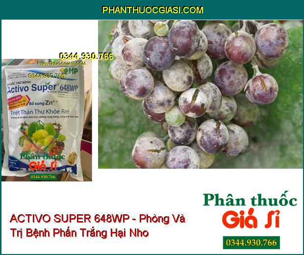 ACTIVO SUPER 648WP - Phòng Và Trị Bệnh Thán Thư- Phấn Trắng- Sương Mai