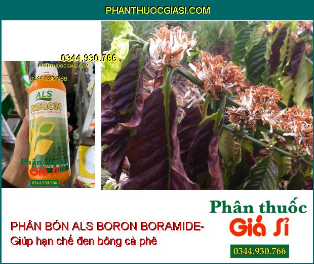 PHÂN BÓN ALS BORON BORAMIDE