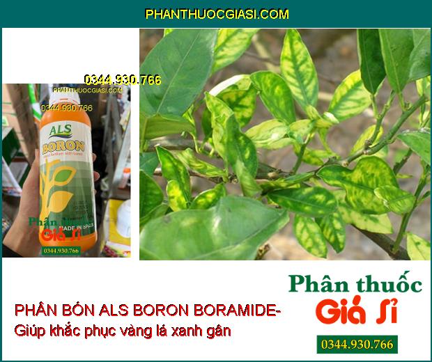 PHÂN BÓN ALS BORON BORAMIDE