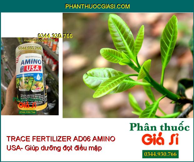 TRACE FERTILIZER AD06 AMINO USA