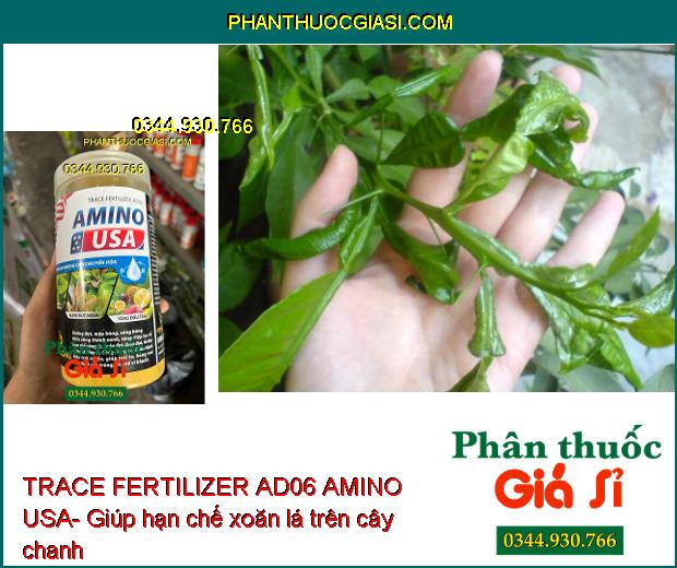 TRACE FERTILIZER AD06 AMINO USA