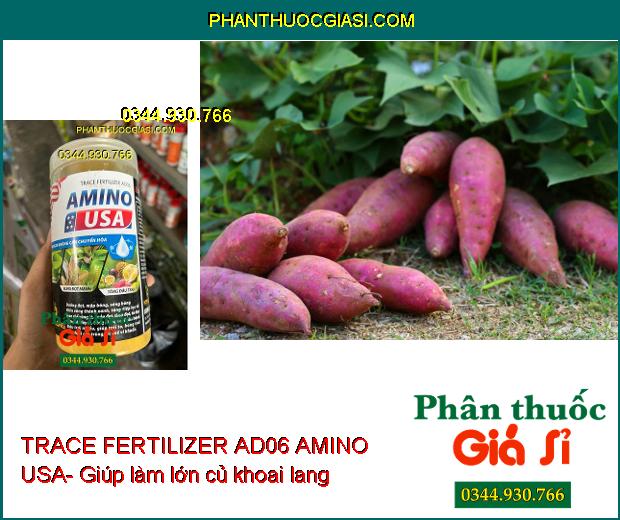 TRACE FERTILIZER AD06 AMINO USA