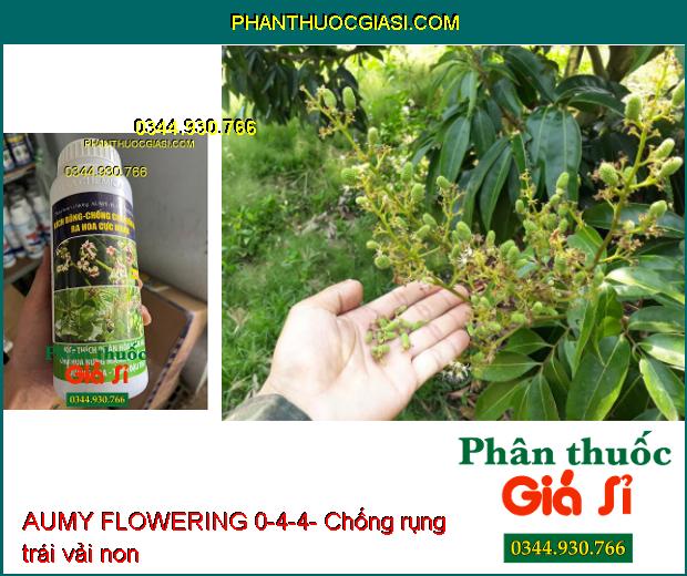 AUMY FLOWERING 0-4-4