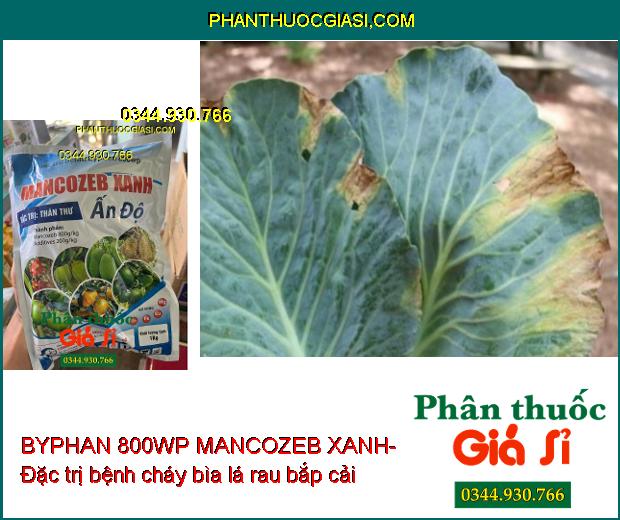 THUỐC TRỪ BỆNH BYPHAN 800WP MANCOZEB XANH