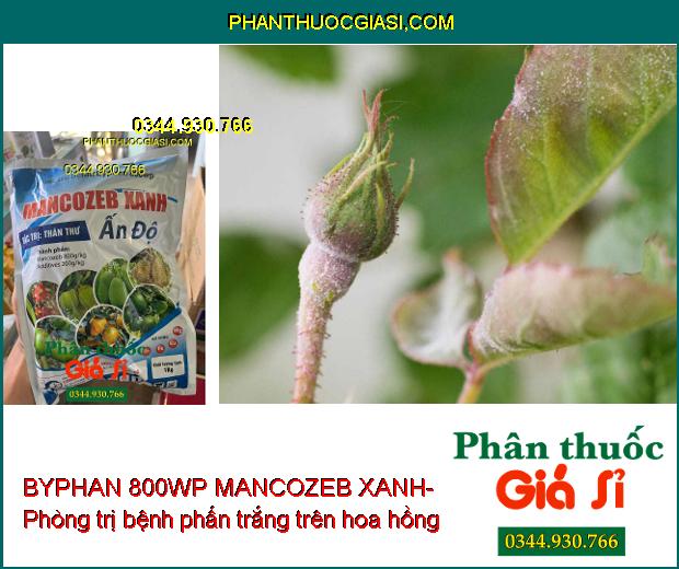 THUỐC TRỪ BỆNH BYPHAN 800WP MANCOZEB XANH