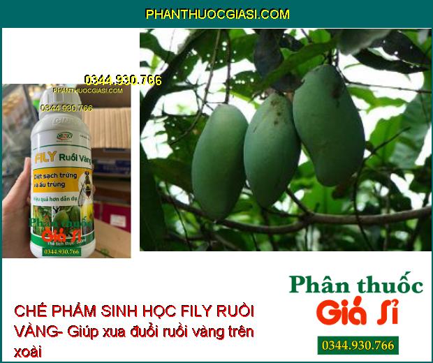 CHẾ PHẨM SINH HỌC FILY RUỒI VÀNG