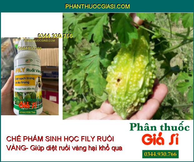 CHẾ PHẨM SINH HỌC FILY RUỒI VÀNG