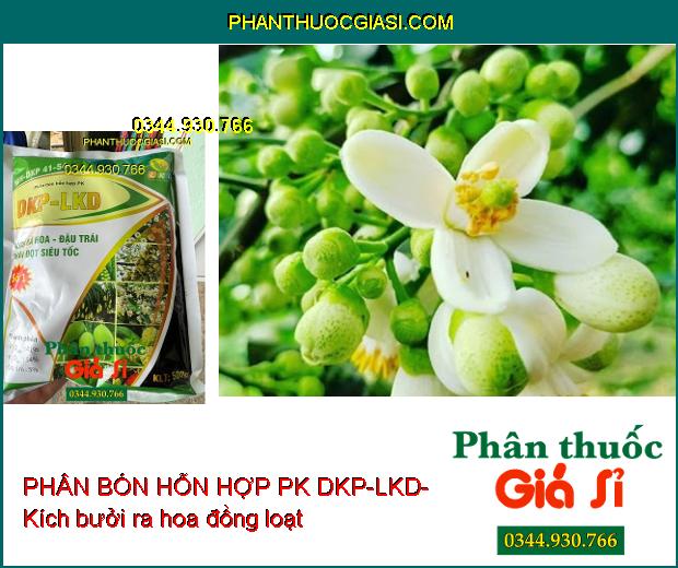 MH-DKP 41-54 PHÂN BÓN HỖN HỢP PK DKP-LKD