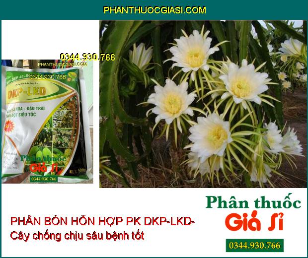 MH-DKP 41-54 PHÂN BÓN HỖN HỢP PK DKP-LKD