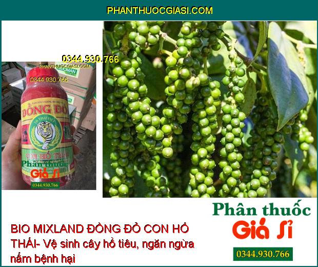 BIO MIXLAND ĐỒNG ĐỎ CON HỔ THÁI