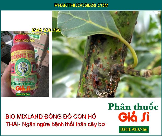 BIO MIXLAND ĐỒNG ĐỎ CON HỔ THÁI